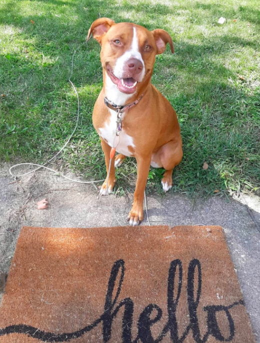 Lexie
